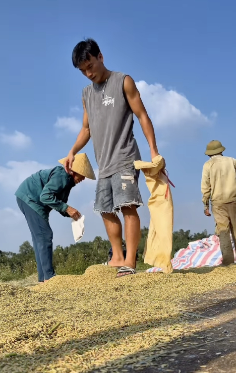 O goleiro Bùi Tiến Dũng voltou à terra natal para secar o arroz para a mãe