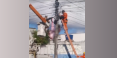 Corpo foi retirado no início da manhã desta segunda-feira, 21, pelo Corpo de Bombeiros Foto: Reprodução/Instagram/@olindaordinariaa