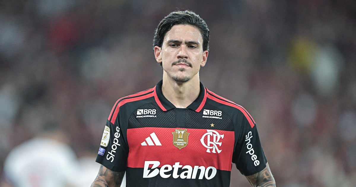 Dublador revela discussão entre Pedro e Leonardo Jardim em jogo do Flamengo; veja o vídeo