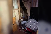 PF resgata homem de 74 anos que trabalhava de graça e vivia com animais