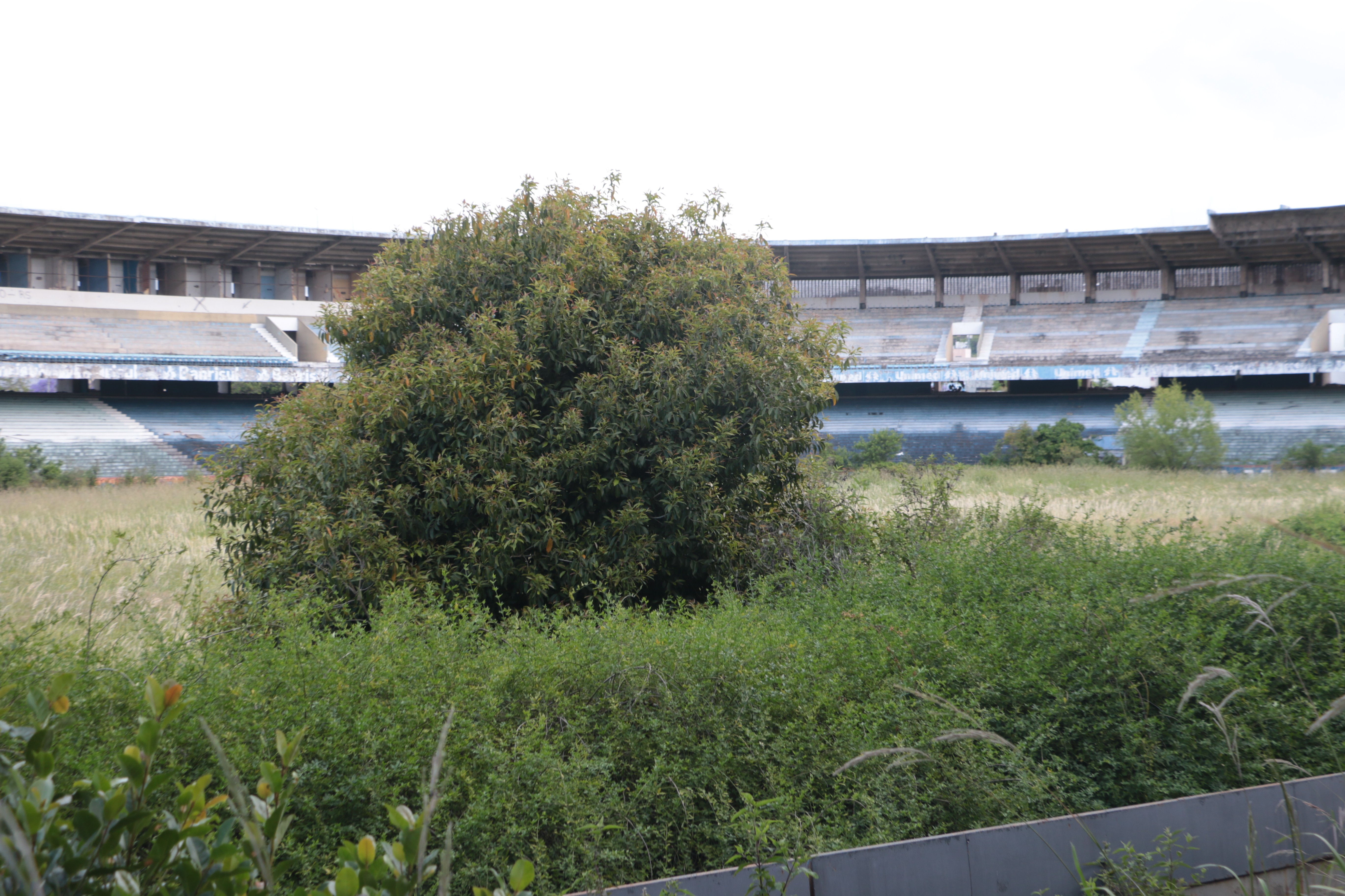 Veja sete estádios que já receberam a Seleção e estão abandonados ou sofrem com a falta de jogos