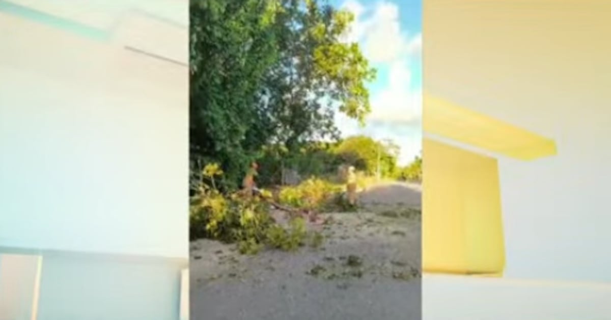 Dois homens ficam feridos após moto bater em galhos de árvores caídos em avenida de João Pessoa