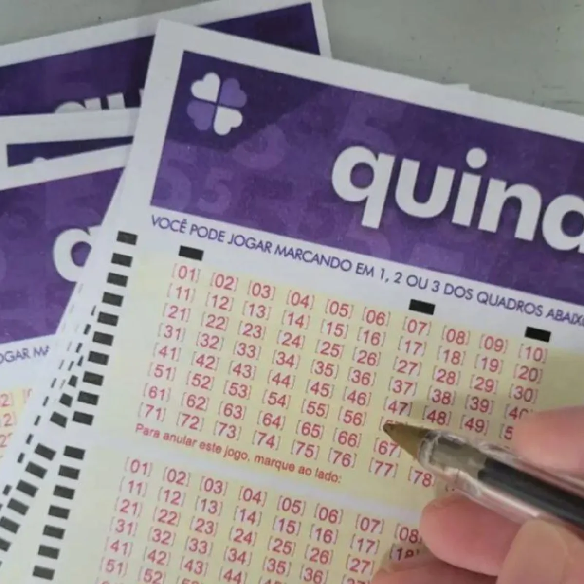 Quina: aposta do DF acerta quadra e leva quase R$ 10 mil para casa